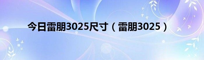 今日雷朋3025尺寸（雷朋3025）