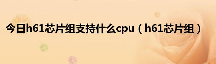 今日h61芯片组支持什么cpu（h61芯片组）