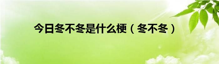 今日冬不冬是什么梗（冬不冬）