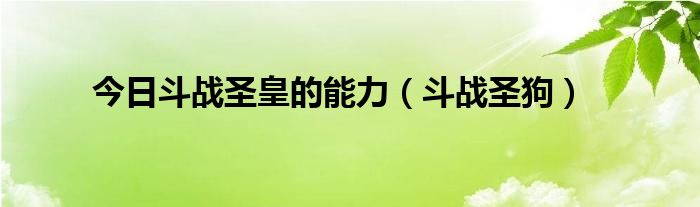 今日斗战圣皇的能力（斗战圣狗）