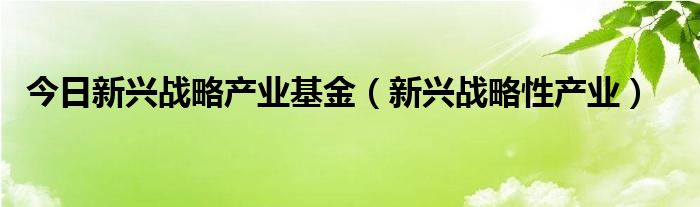 今日新兴战略产业基金（新兴战略性产业）