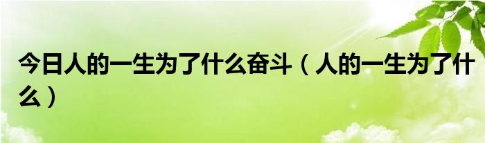 今日人的一生为了什么奋斗（人的一生为了什么）