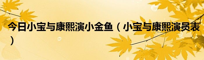 今日小宝与康熙演小金鱼（小宝与康熙演员表）