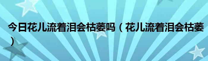 今日花儿流着泪会枯萎吗（花儿流着泪会枯萎）