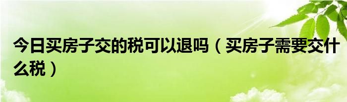 今日买房子交的税可以退吗（买房子需要交什么税）