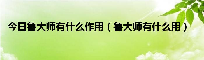 今日鲁大师有什么作用（鲁大师有什么用）