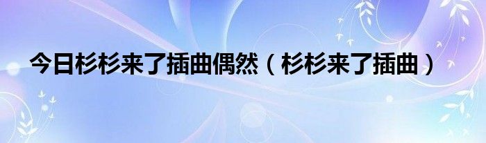 今日杉杉来了插曲偶然（杉杉来了插曲）