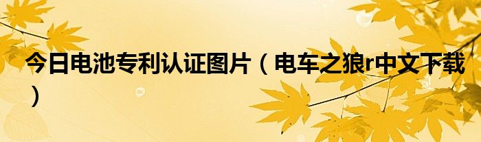 今日电池专利认证图片（电车之狼r中文下载）