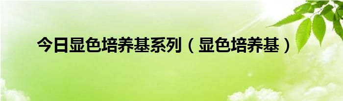 今日显色培养基系列（显色培养基）