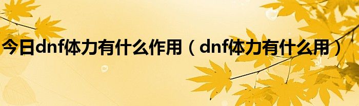 今日dnf体力有什么作用（dnf体力有什么用）