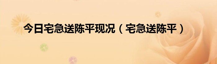 今日宅急送陈平现况（宅急送陈平）