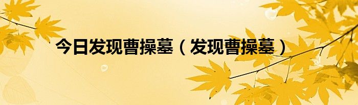 今日发现曹操墓（发现曹操墓）