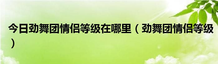 今日劲舞团情侣等级在哪里（劲舞团情侣等级）