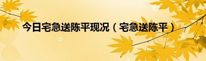 今日宅急送陈平现况（宅急送陈平）