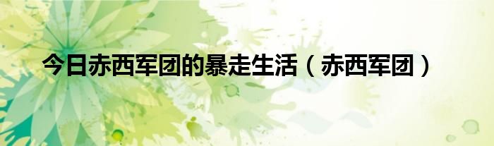 今日赤西军团的暴走生活（赤西军团）