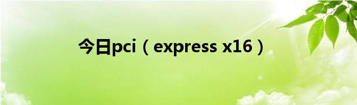 今日pci（express x16）