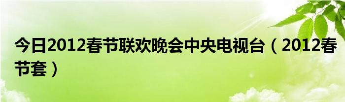 今日2012春节联欢晚会中央电视台（2012春节套）