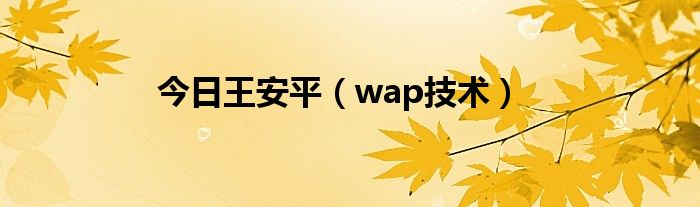 今日王安平（wap技术）