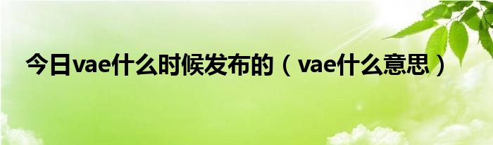 今日vae什么时候发布的（vae什么意思）