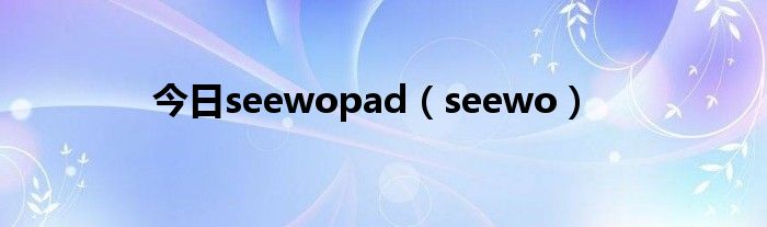 今日seewopad（seewo）