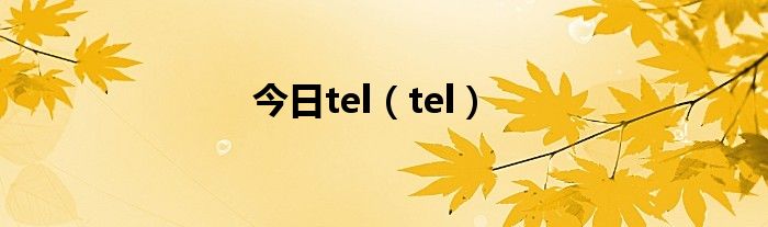 今日tel（tel）