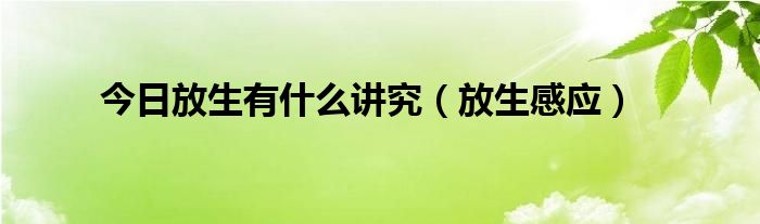 今日放生有什么讲究（放生感应）