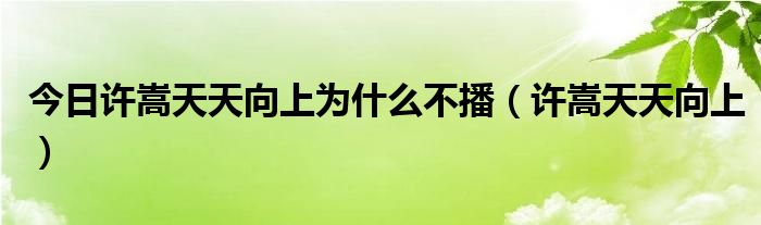 今日许嵩天天向上为什么不播（许嵩天天向上）