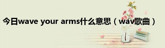 今日wave your arms什么意思（wav歌曲）