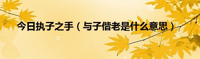 今日执子之手（与子偕老是什么意思）