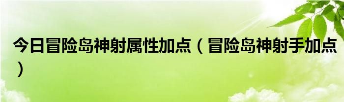 今日冒险岛神射属性加点（冒险岛神射手加点）