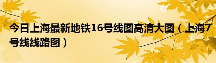 今日上海最新地铁16号线图高清大图（上海7号线线路图）