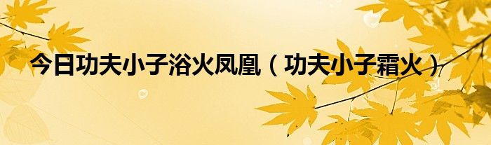 今日功夫小子浴火凤凰（功夫小子霜火）