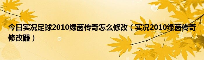 今日实况足球2010绿茵传奇怎么修改（实况2010绿茵传奇修改器）