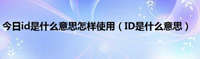 深入了解IDC许可证的用途与重要性(深入了解inter前缀的含义及用法)