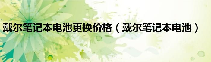 戴尔笔记本电池更换价格（戴尔笔记本电池）