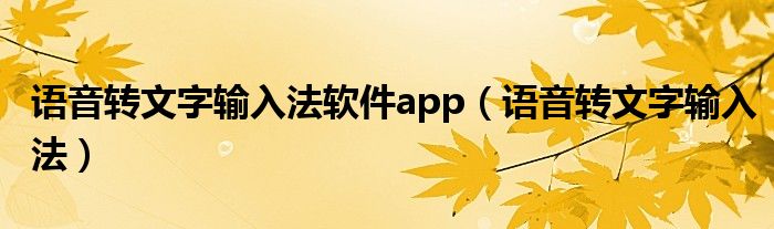 语音转文字输入法软件app（语音转文字输入法）