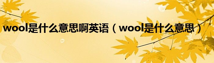 wool是什么意思啊英语（wool是什么意思）