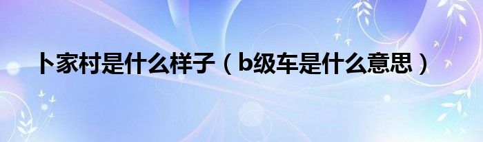 卜家村是什么样子（b级车是什么意思）