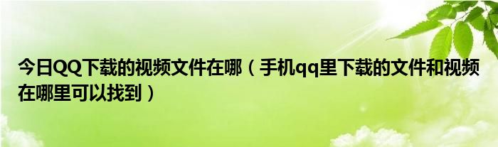 今日QQ下载的视频文件在哪（手机qq里下载的文件和视频在哪里可以找到）