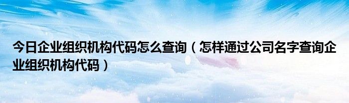 今日企业组织机构代码怎么查询（怎样通过公司名字查询企业组织机构代码）