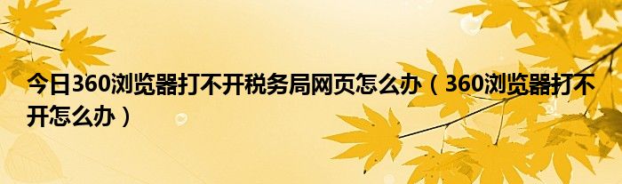 今日360浏览器打不开税务局网页怎么办（360浏览器打不开怎么办）