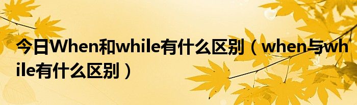 今日When和while有什么区别（when与while有什么区别）