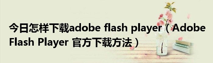 今日怎样下载adobe flash player（Adobe Flash Player 官方下载方法）