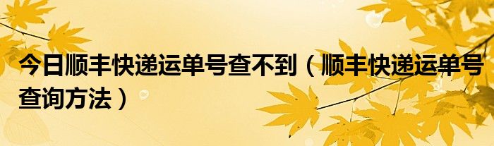 今日顺丰快递运单号查不到（顺丰快递运单号查询方法）