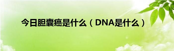 今日胆囊癌是什么（DNA是什么）