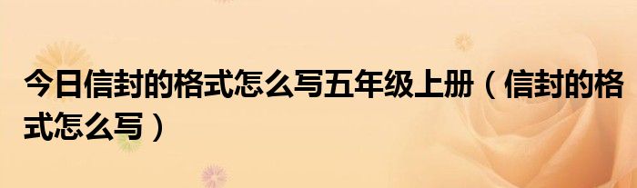 今日信封的格式怎么写五年级上册（信封的格式怎么写）