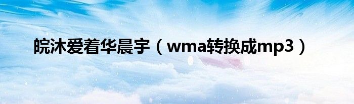 皖沐爱着华晨宇（wma转换成mp3）