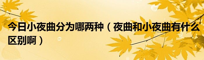 今日小夜曲分为哪两种（夜曲和小夜曲有什么区别啊）