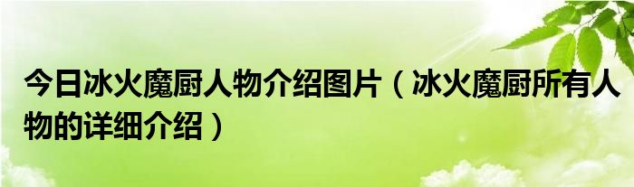 今日冰火魔厨人物介绍图片（冰火魔厨所有人物的详细介绍）