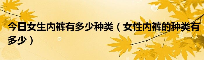 今日女生内裤有多少种类（女性内裤的种类有多少）